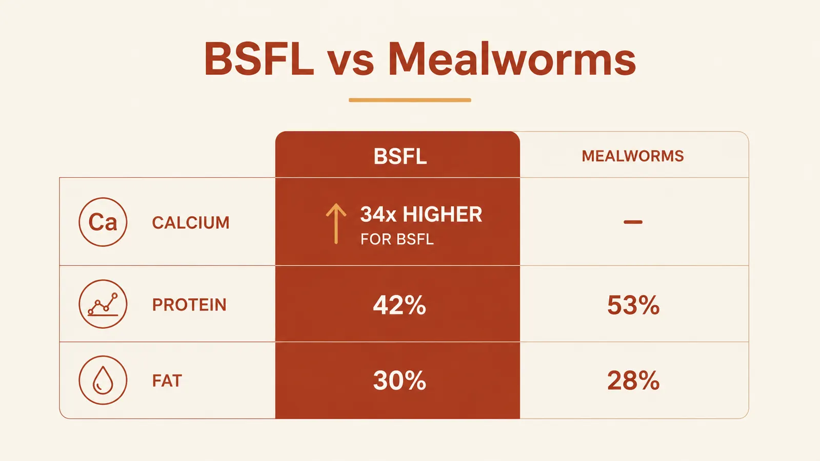 Side-by-side comparison chart of BSFL vs dried mealworms showing calcium, protein, and fat percentages