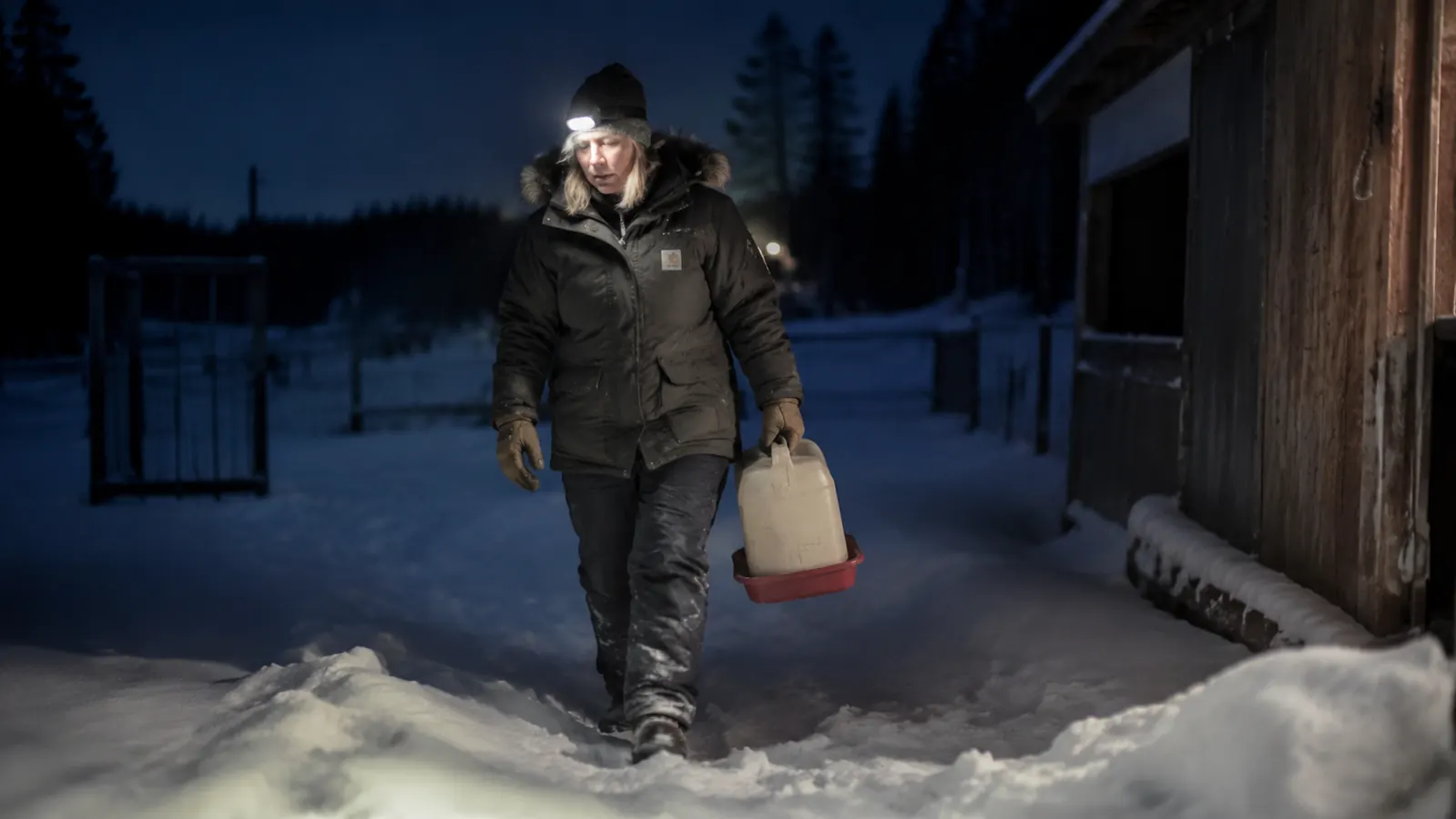 Woman in heavy winter coat and headlamp carrying a frozen solid plastic chicken waterer across a snow-covered backyard at 5am