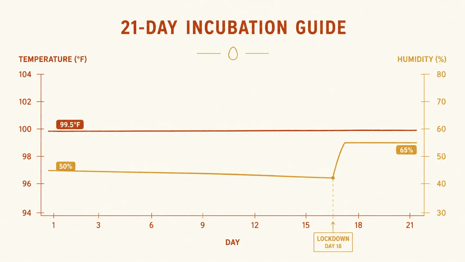Chart showing hatch day log from days 1 through 21, tracking temperature at 99.5 degrees F and humidity percentages rising from 50 percent on day 1 to 65 percent at lockdown on day 18