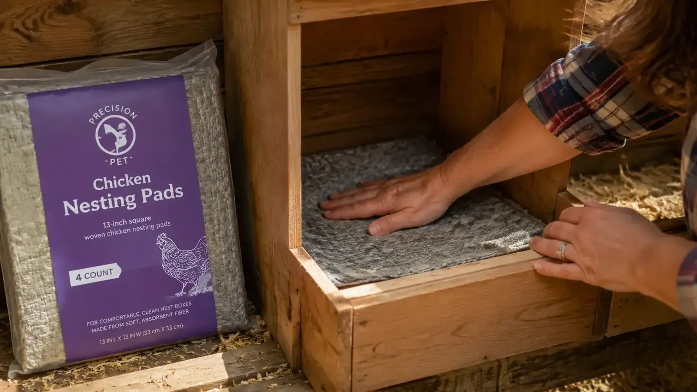 Hand placing a nesting pad into a wooden nest box inside a chicken coop