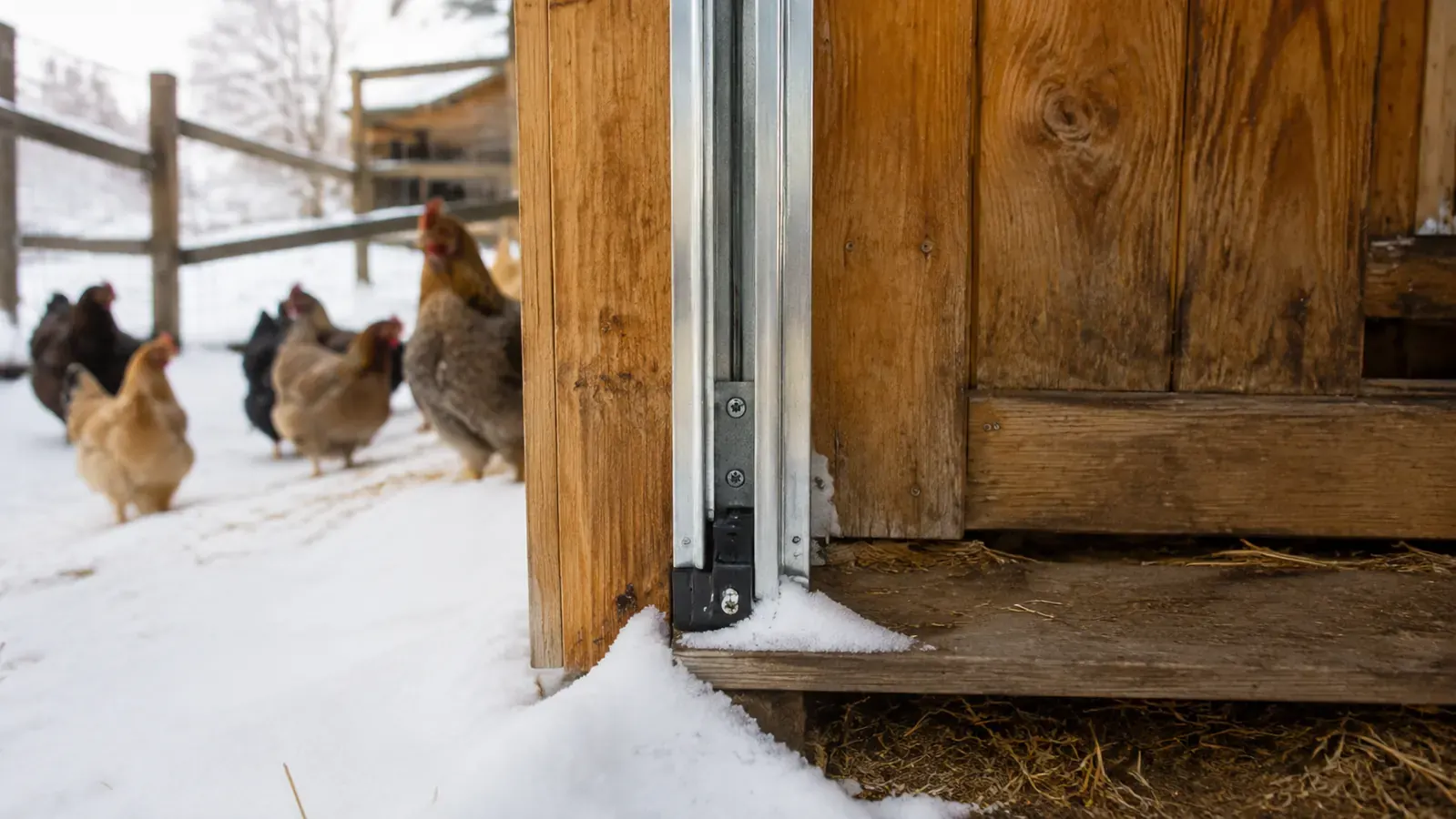 Chicken coop door track with a thin layer of snow packed near the bottom rail